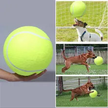 ChewTennis™ - Inflatable Tennis Pet Toy for Dogs